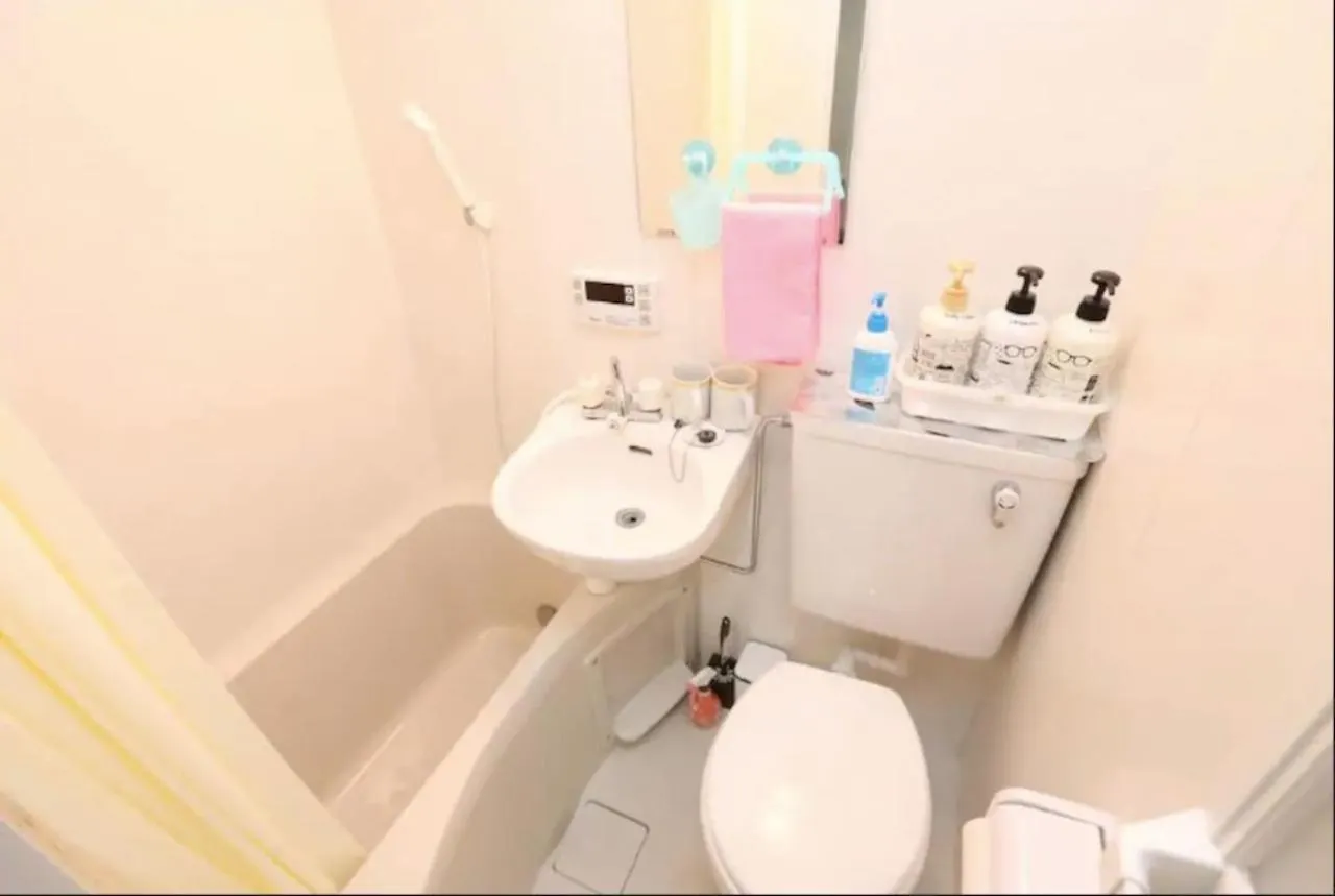 Kamiya Tk Building 202 Apartment Tokyo Japan