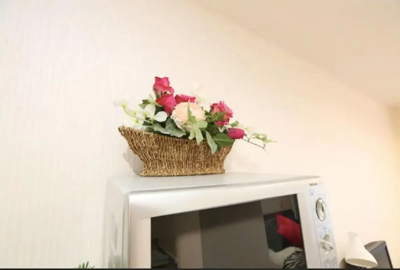 شقة Kamiya Tk Building 202 طوكيو اليابان